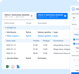 Darbo laiko sistemos išplėstinės ataskaitos pavyzdys